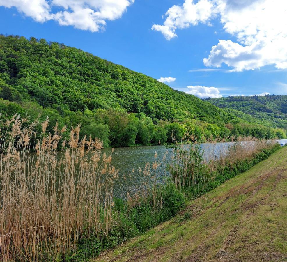 Zum Stausee Bad Münster am Stein-Ebernburg Exterior foto